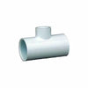 Charlotte Pipe Solvent Weld FIP Schedule 40 PVC Tee (3/4 in. x 1/2 in.)