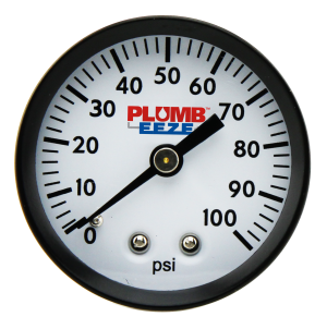 Dry Pressure Gauge