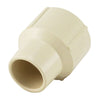 The Mosack Group Apollo CPVC Female Adapter (1/2 in. Solvent Weld CPVC x FNPT Female Adapter)