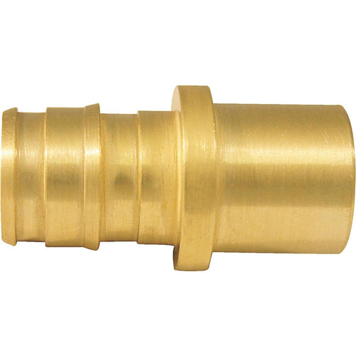 Conbraco 1/2 In. x 1/2 In. Brass Insert Fitting MSWT Adapter Type A