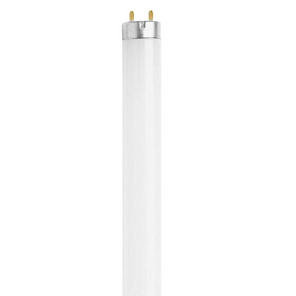 Feit Electric 770 Lumen Fluorescent T8 (15 Watt)