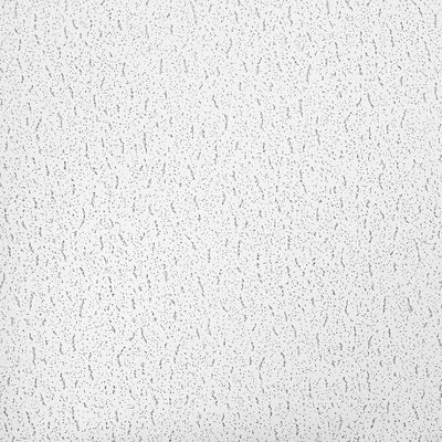 Armstrong Ceiling 24 x 24 Textured (24 x 24)