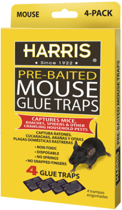 GLUE TRAP MOUSE 4PK